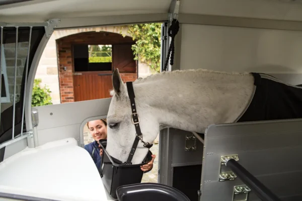 Van chevaux Ifor Williams HBX 511 avec sellerie – Image 10
